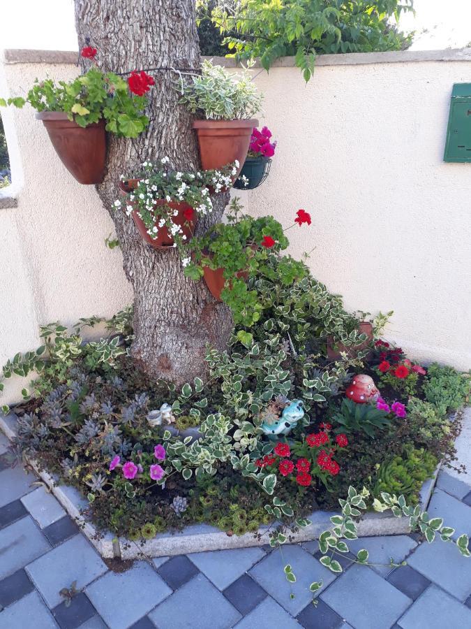 Lucica Appartement *